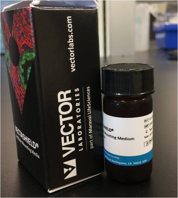 High Quality Antifade Mounting Media with DAPI Kit/Reagent Review